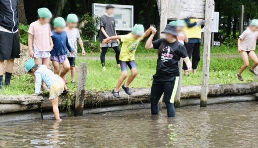 R7.6.24　どろ