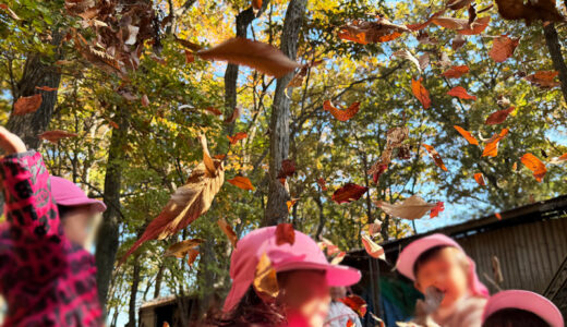 R7.11.19　３歳（年少児）遠足